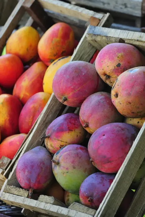 Framed Print : Fruit Stand in a market, Colombia, South America Framed Print : Fruit Stand in a market, Colombia, South America