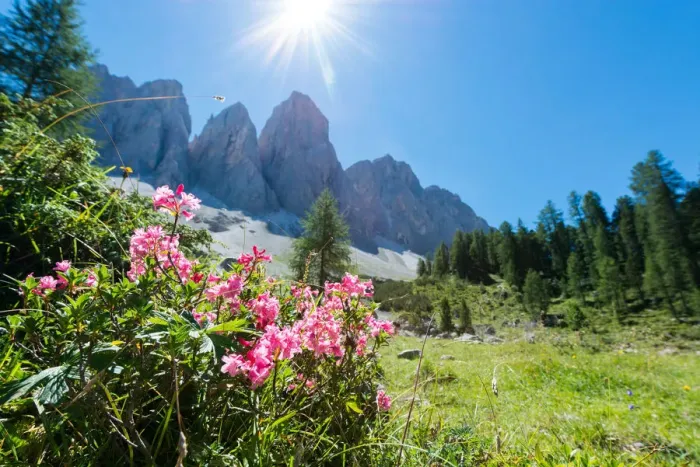 Framed Print : Funes Valley, Dolomites, South Tyrol, Bolzano province, Italy, Europe