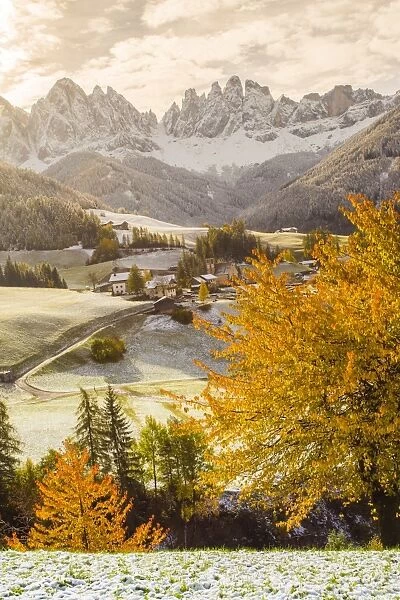 Funes Valley, Trentino Alto Adige, Italy. Dolomites Alps in Autumn, with the first