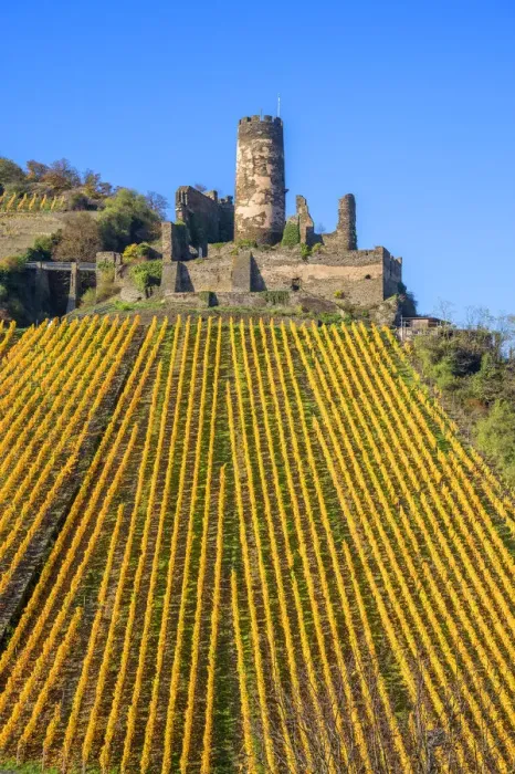 Framed Print : Furstenberg castle, Oberdiebach, Rhine valley, Rhineland-Palatinate, Germany