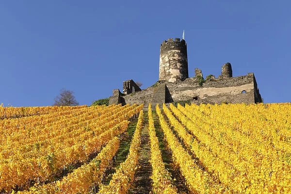 Furstenberg Castle, Oberdiebach, Rhine Valley, Rhineland-Palatinate, Germany