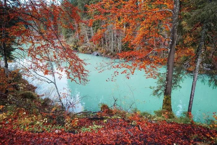 Framed Print : Fusine Lakes in Autumn, Friuli Venezia Giulia, Italy Framed Print : Fusine Lakes in Autumn, Friuli Venezia Giulia, Italy