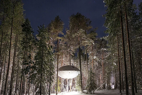 Futuristic UFO shaped room for tourists suspended among tall trees, Tree hotel, Harads, Lapland, Sweden