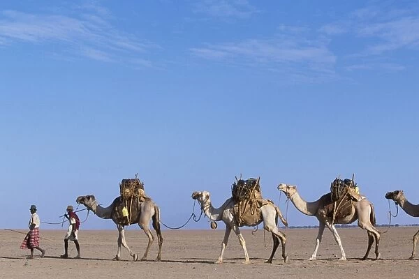 Gabbra tribesmen lead their camel train across the Chalbi Desert