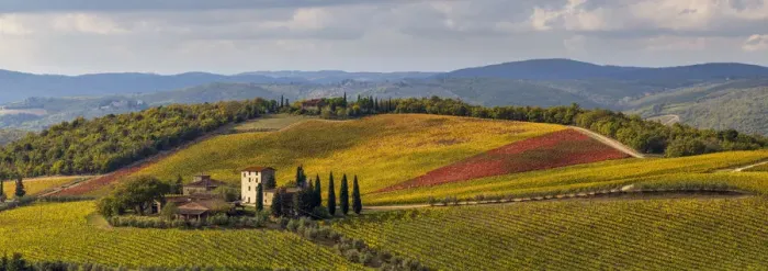Framed Print : Gaiole in Chianti, Siena province, Tuscany, Italy. The vineyard of Brolio castle Framed Print : Gaiole in Chianti, Siena province, Tuscany, Italy. The vineyard of Brolio castle