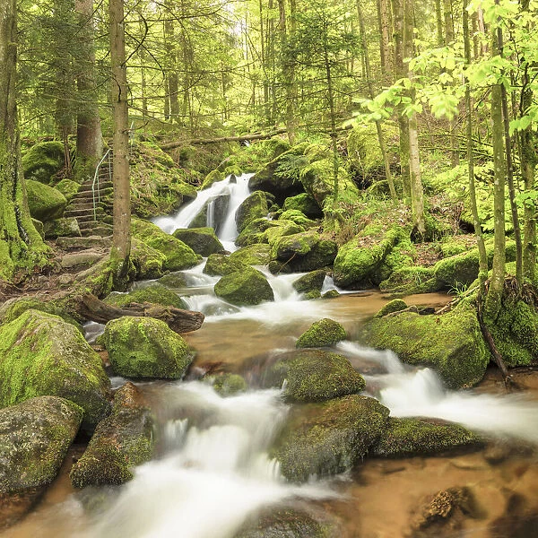 Gaisholl Waterfalls, Sasbachwalden, Black Forest, Baden-Wurttemberg, Germany