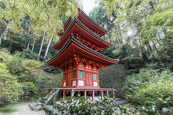 Gansen-ji temple, pagoda and garden near Kyoto, Japan