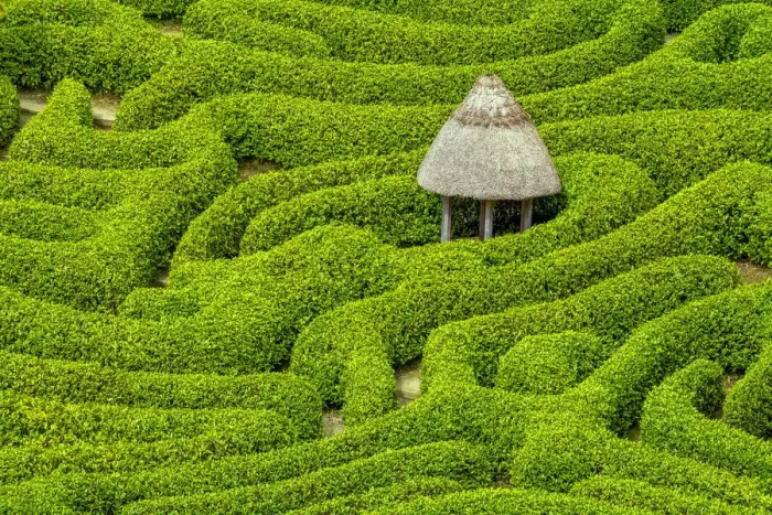 Framed Print : Garden Maze at Glendurgan Gardens, Falmouth, Cornwall, England Framed Print : Garden Maze at Glendurgan Gardens, Falmouth, Cornwall, England
