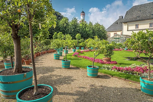 Garden in front of the Orangery in Bad Homburg, Taunus, Hesse, Germany