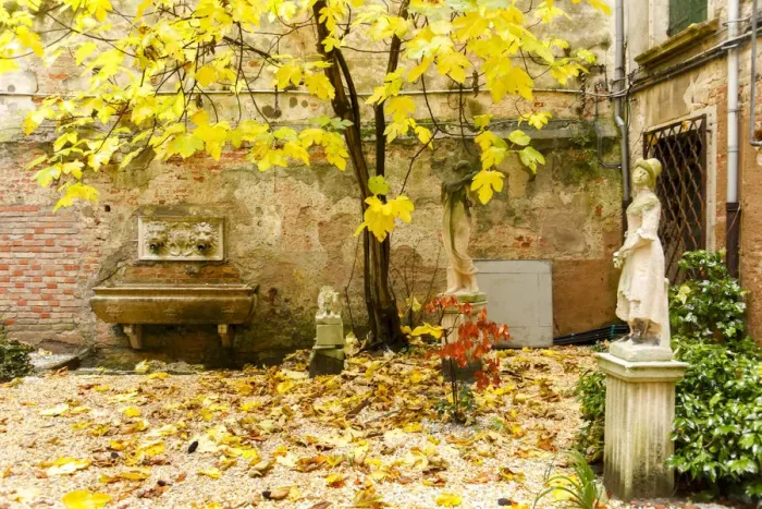 Framed Print : Garden from the Palazzo Rossini, Venice, Veneto, Italy