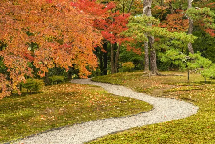 Framed Print : Garden Path in Autumn, Jardin Isuien, Nara, Kansai, Japan Framed Print : Garden Path in Autumn, Jardin Isuien, Nara, Kansai, Japan
