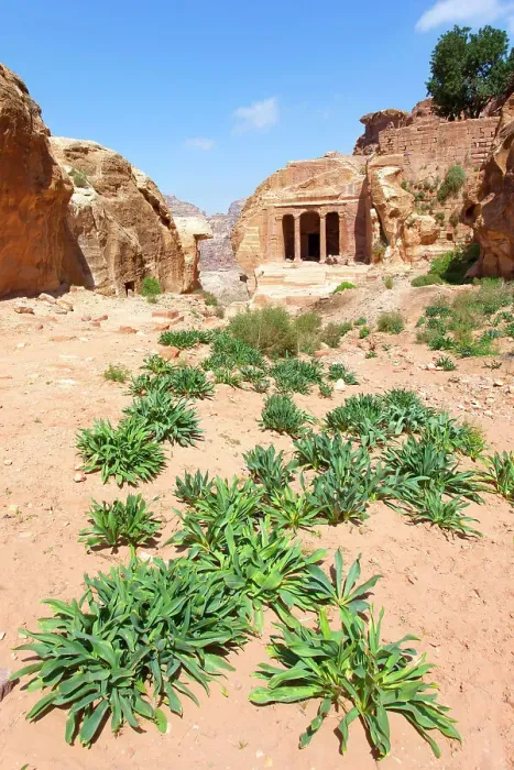 Framed Print : The Garden Tomb in the archaeological site of Petra, Jordan, Middle East. Recognized as a UNESCO World Heritage Site in 1985
