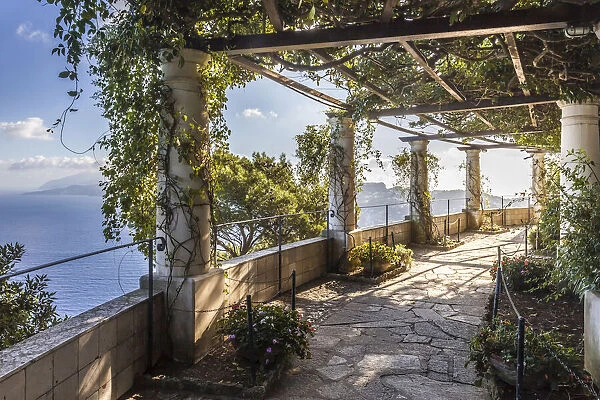 In the garden of Villa San Michele, Anacapri, Capri, Gulf of Naples, Campania, Italy