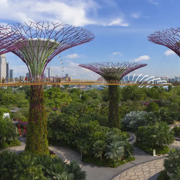 Framed Print : Gardens by the Bay, Singapore Framed Print : Gardens by the Bay, Singapore