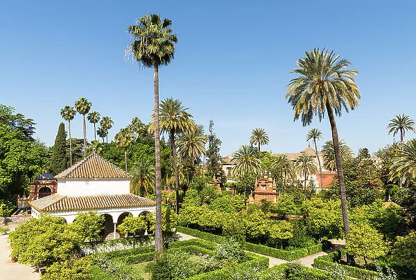 The gardens of the Real Alcazar de Sevilla (The Alcazar of Seville or Royal Palace of Seville), Seville, Andalusia, Spain