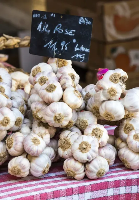 Framed Print : Garlic on sale at the outdoor market, Limousin, France Framed Print : Garlic on sale at the outdoor market, Limousin, France