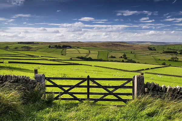 Gate & Farmland, Peak District National Park, Derbyshire, England
