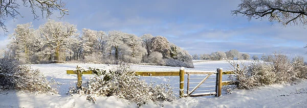 Gate into Winter Countryside, Dorset, England
