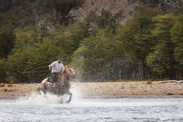 A gaucho galloping through the waters of the 'Rio de las Vueltas'river