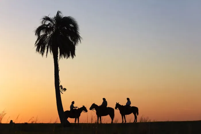 Framed Print : Gauchos on horseback at sunset, Estancia Buena Vista, Esquina, Corrientes, Argentina Framed Print : Gauchos on horseback at sunset, Estancia Buena Vista, Esquina, Corrientes, Argentina
