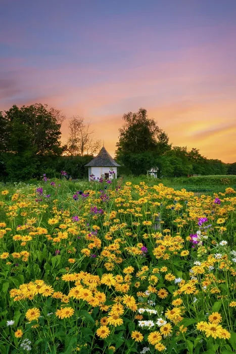 Framed Print : Gazebo at Muster Field Farm at sunset with flower garden, North Sutton, New Hampshire, USA Framed Print : Gazebo at Muster Field Farm at sunset with flower garden, North Sutton, New Hampshire, USA
