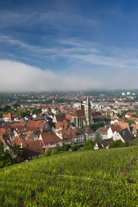 Framed Print : Germany, Baden-Wurttemberg, Esslingen-Am-Neckar, town view from vineyards Framed Print : Germany, Baden-Wurttemberg, Esslingen-Am-Neckar, town view from vineyards