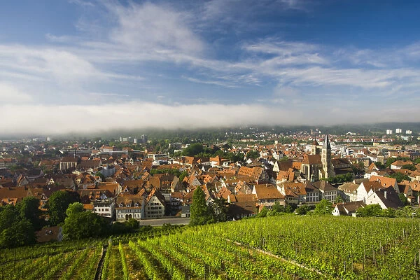 Germany, Baden-Wurttemberg, Esslingen-Am-Neckar, view from vineyards