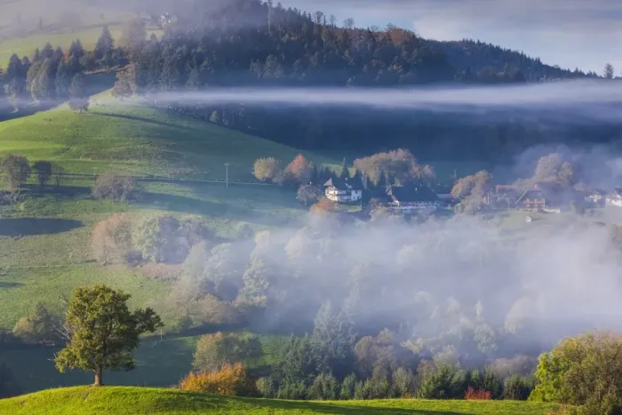 Framed Print : Germany, Baden-Wurttemburg, Black Forest, Horben, morning fog, autumn Framed Print : Germany, Baden-Wurttemburg, Black Forest, Horben, morning fog, autumn