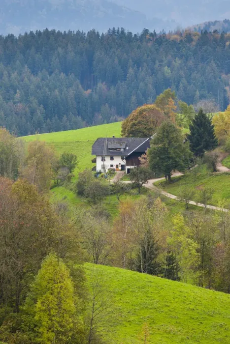 Framed Print : Germany, Baden-Wurttemburg, Black Forest, St. Margen, farmhouse Framed Print : Germany, Baden-Wurttemburg, Black Forest, St. Margen, farmhouse