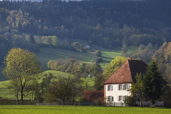Germany, Baden-Wurttemburg, Black Forest, Oberried, valley view