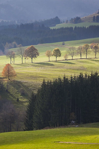 Germany, Baden-Wurttemburg, Black Forest, Bernau im Schwarzwald, mountain landscape