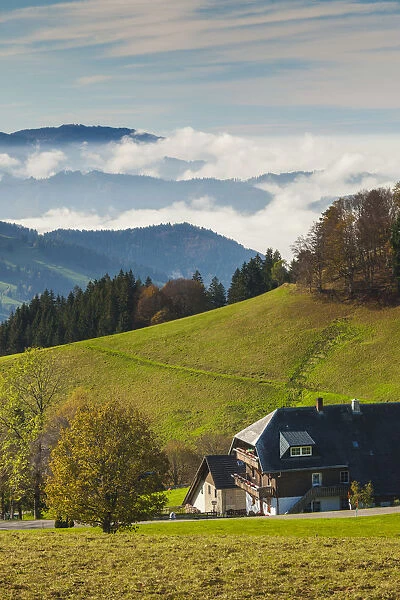 Germany, Baden-Wurttemburg, Black Forest, Giesshubel, mountain landscape