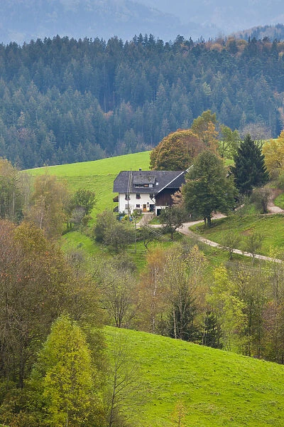 Germany, Baden-Wurttemburg, Black Forest, St. Margen, farmhouse