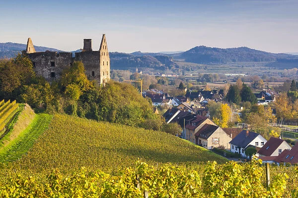 Germany, Baden-Wurttemburg, Burkheim, Kaiserstuhl Area, vineyards and ruins