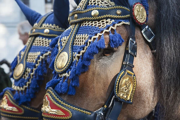 Germany, Bavaria, Munich, Oktoberfest, Horse Dressed in Festival Livery