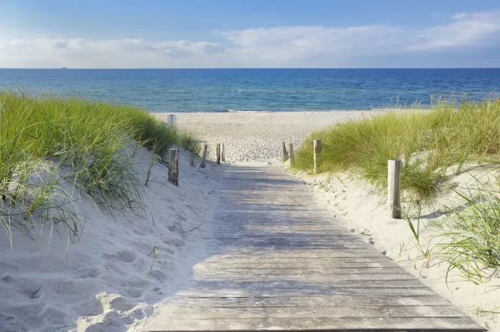 Framed Print : Germany, Mecklenburg-Western Pomerania, Baltic Sea, Darss, beach access to the beach
