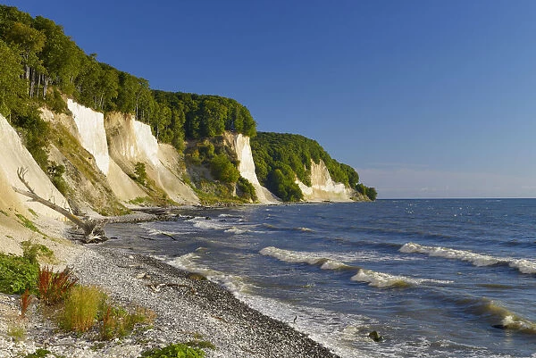 Germany, Mecklenburg-Western Pomerania, Baltic Sea, Ruegen Island, Jasmund National Park
