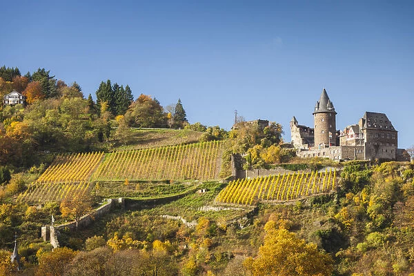 Germany, Rheinland-Pfalz, Bacharach, Burg Stahleck Castle, autumn