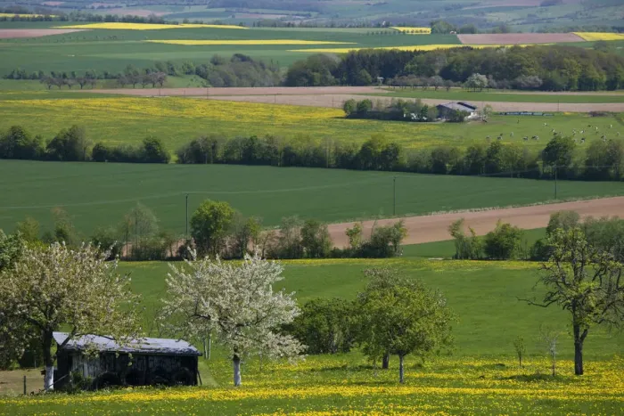 Framed Print : Germany, Rhineland-Palatinate, Mulbach, spring fields Framed Print : Germany, Rhineland-Palatinate, Mulbach, spring fields