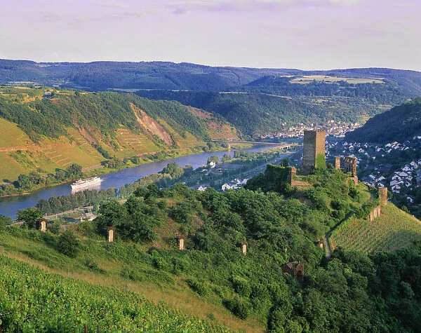 Germany, Rhineland-Palatinate, Niederburg castle