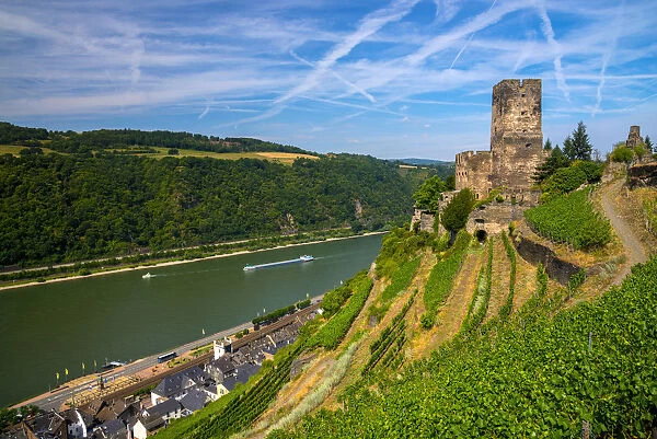 Germany, Rhineland Palatinate, River Rhine, Kaub, Burg Gutenfels or Kaub Castle, vineyard