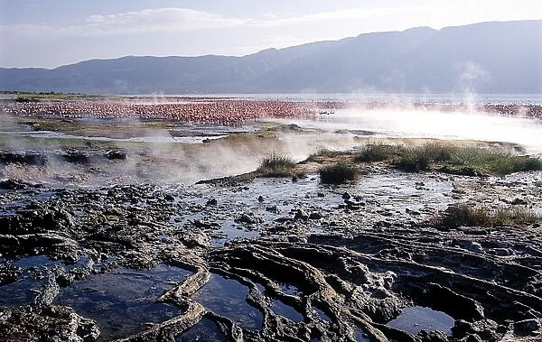 Geysers, hot springs and thousands of lesser flamingos