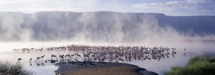 Framed Print : Geysers, hot springs and thousands of lesser flamingos