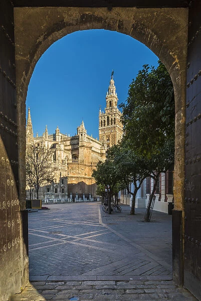 Giralda bell tower, Cathedral, Seville, Andalusia, Spain