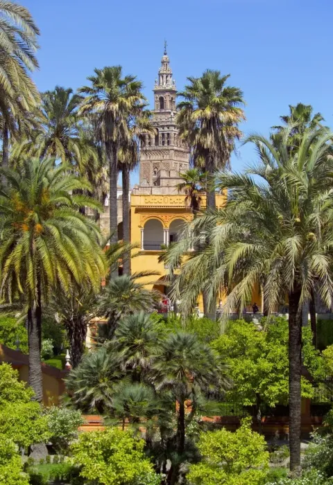 Framed Print : Giralda tower seen from Alcazar Gardens, Seville, Spain