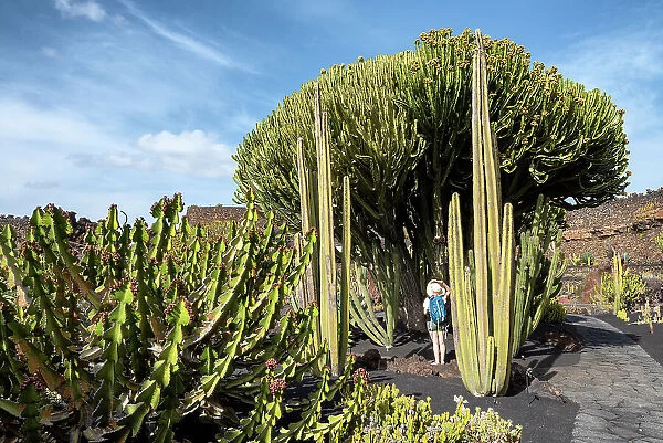 Girl visits the Jardin de Cactus, garden designed by Cesar Manrique in Lanzarote, Lanzarote, Canary Island, Spain (MR)