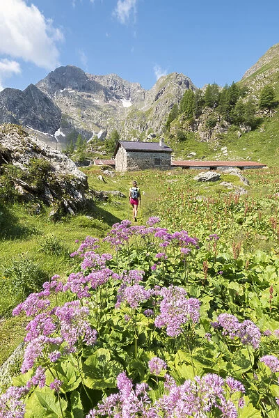A girl is walking in the Malga Torena in Val Belviso, Province of Sondrio, Valtellina