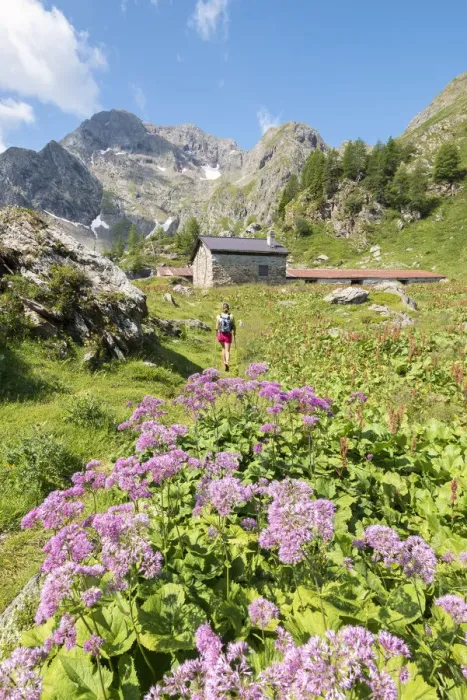 Framed Print : A girl is walking in the Malga Torena in Val Belviso, Province of Sondrio, Valtellina Framed Print : A girl is walking in the Malga Torena in Val Belviso, Province of Sondrio, Valtellina