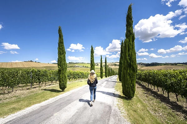 A girl walking under the sun into wineyards landscape near Macerata, Marche region, Italy