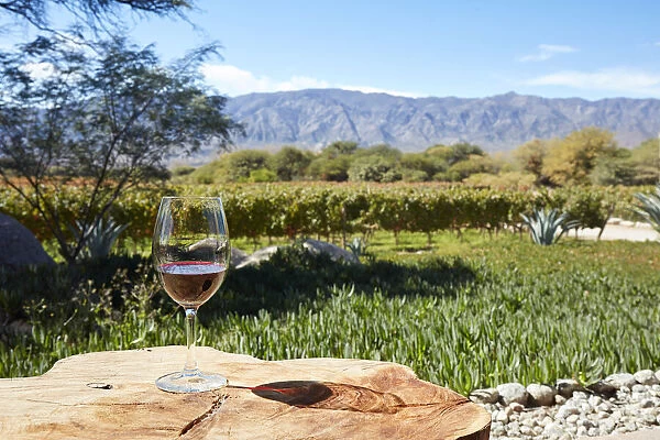A glass of Malbec wine with the vineyards of Bodega Colomein the background